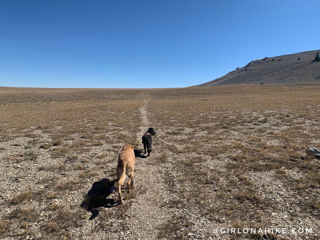 Hiking Mt.Moriah, Nevada