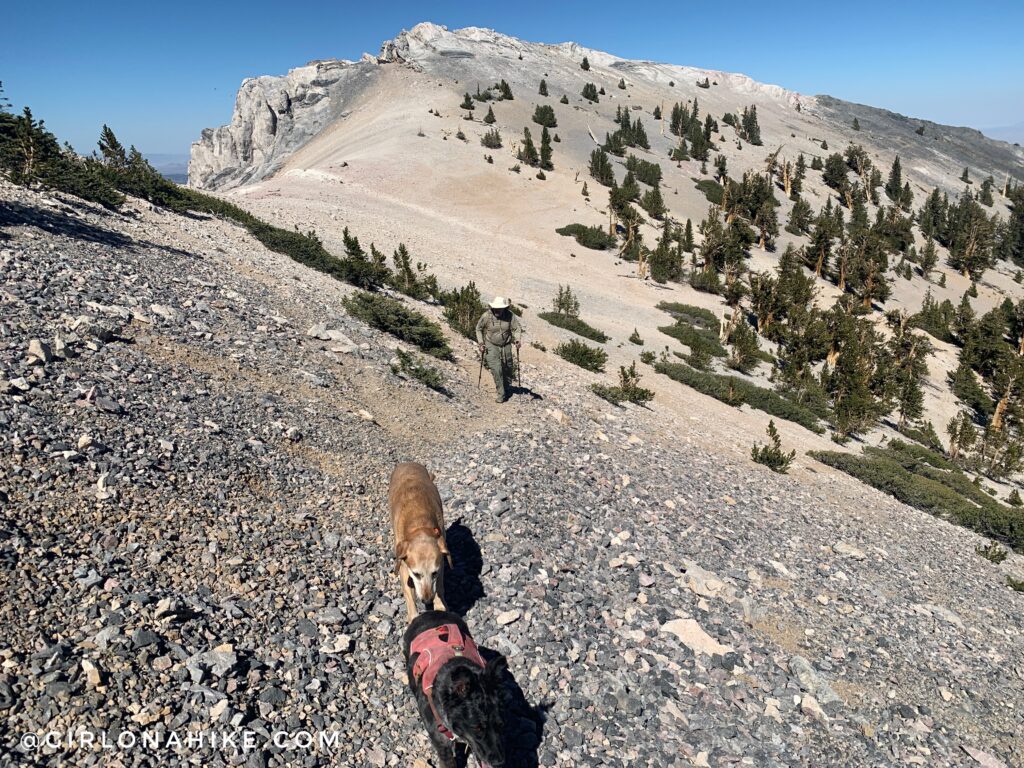 Hiking Mt.Moriah, Nevada