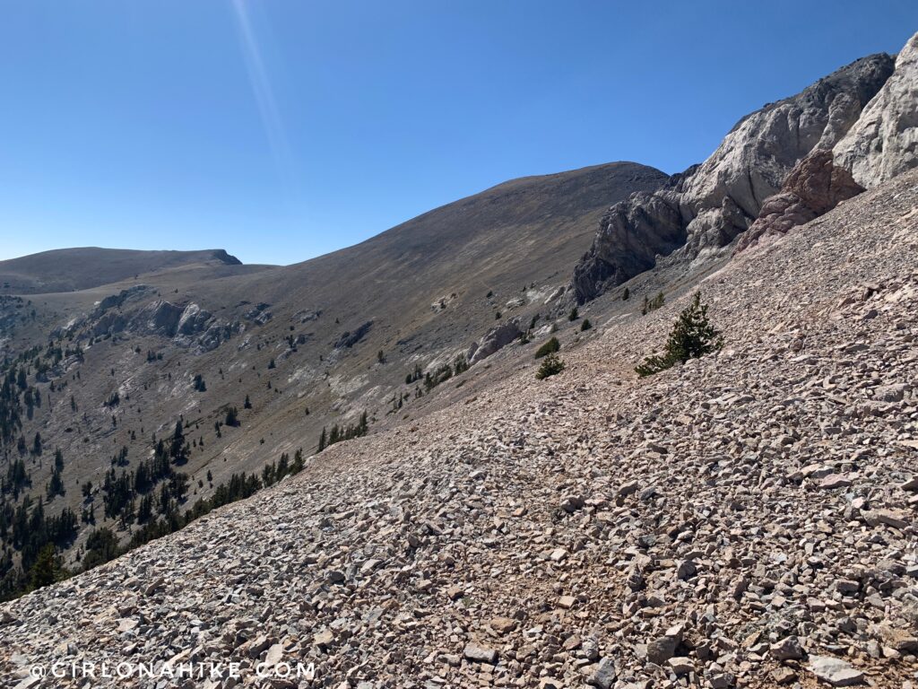 Hiking Mt.Moriah, Nevada