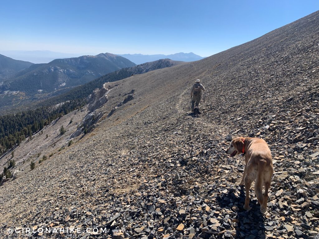 Hiking Mt.Moriah, Nevada