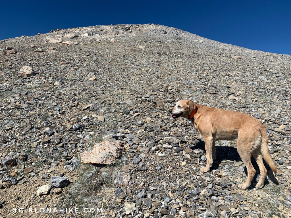 Hiking Mt.Moriah, Nevada