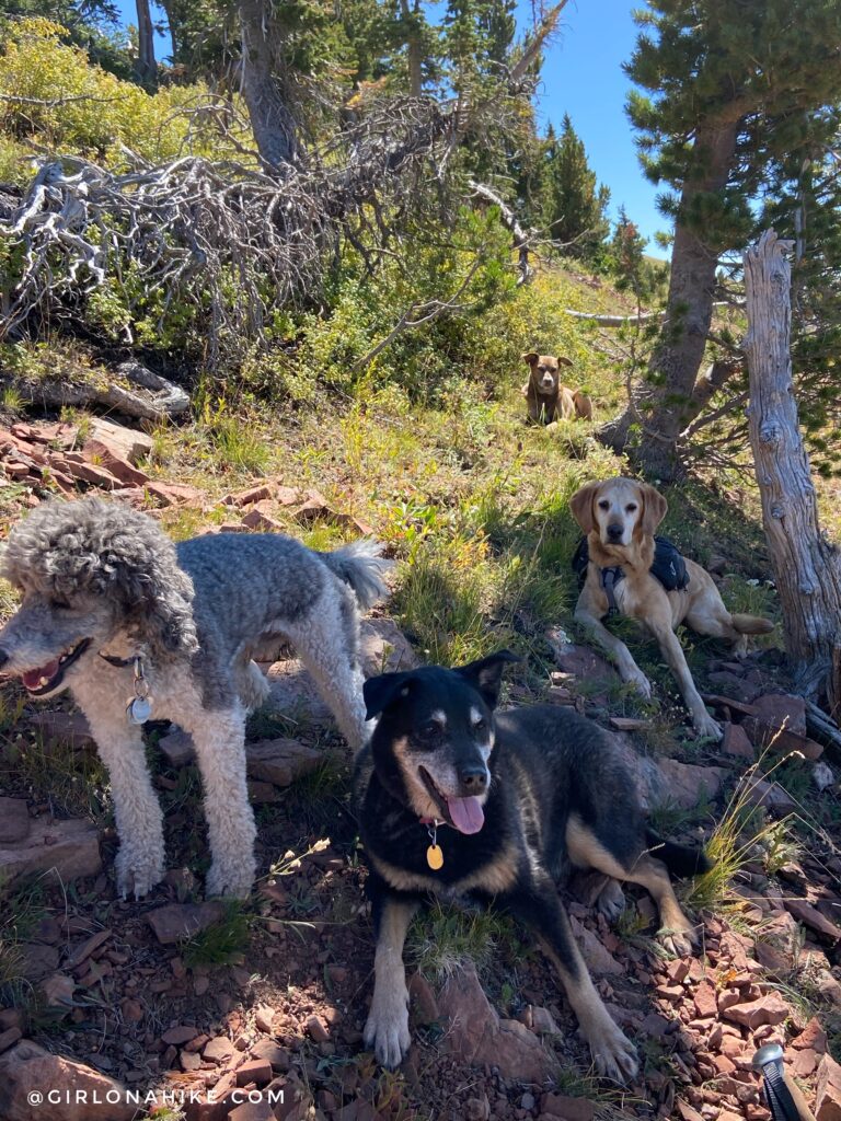 Hiking to Wyoming Peak, Wyoming Mountain Range