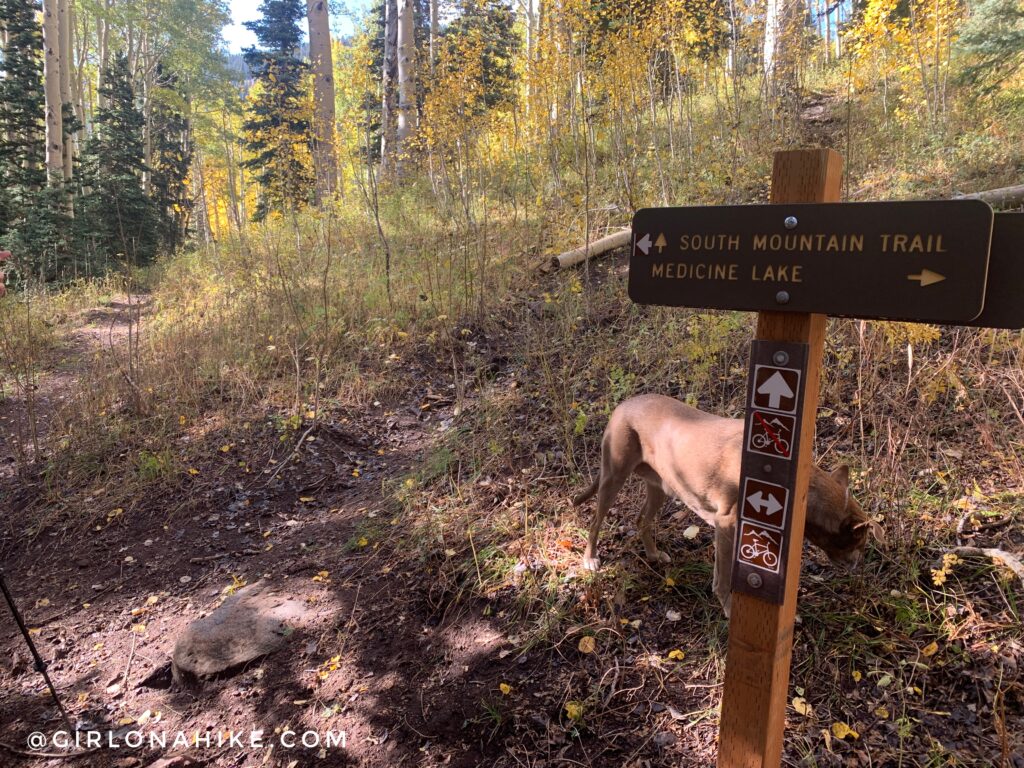 Hiking to South Mountain, LaSal Mountains