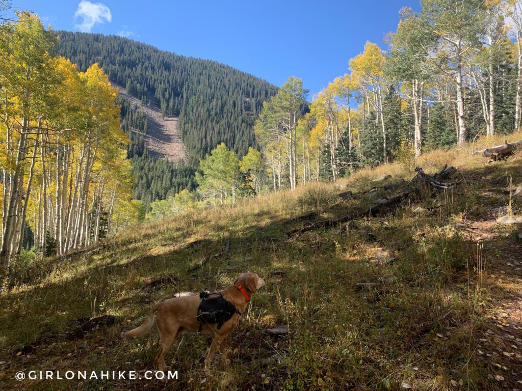 Hiking to South Mountain, LaSal Mountains