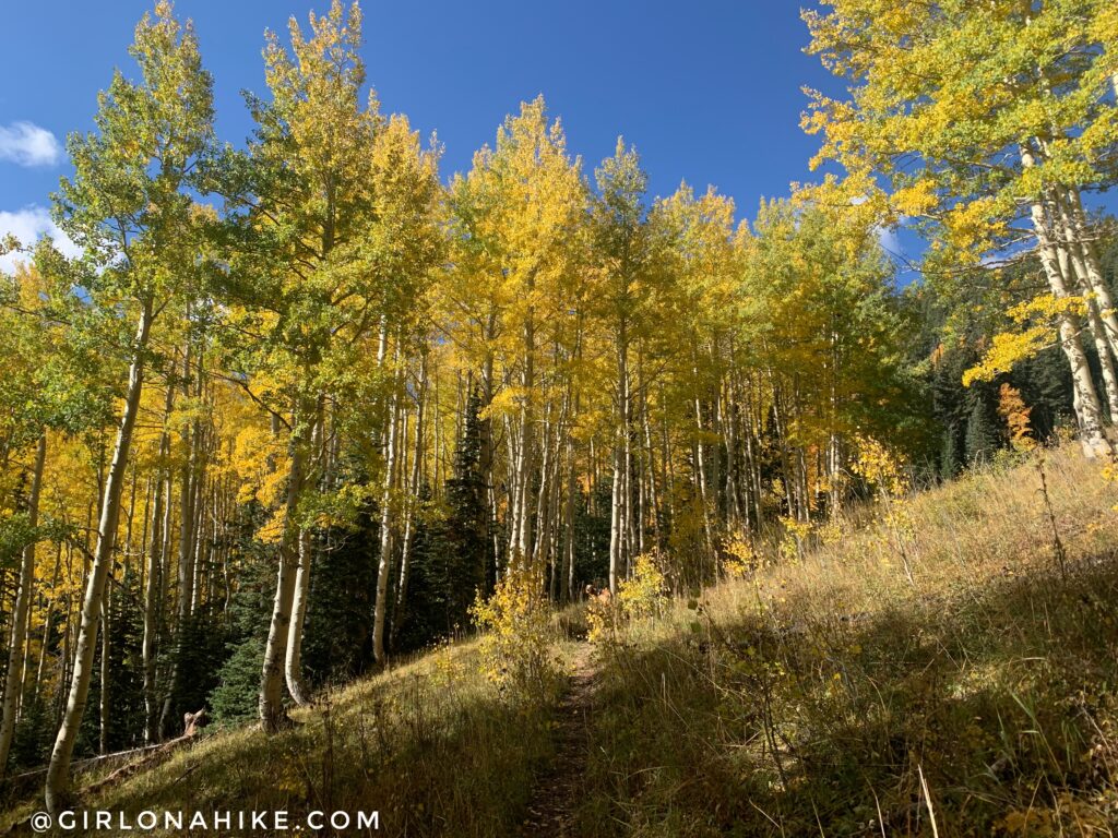  Hiking to South Mountain, LaSal Mountains