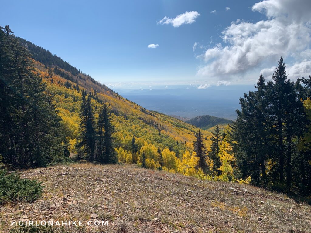 Hiking to South Mountain, LaSal Mountains