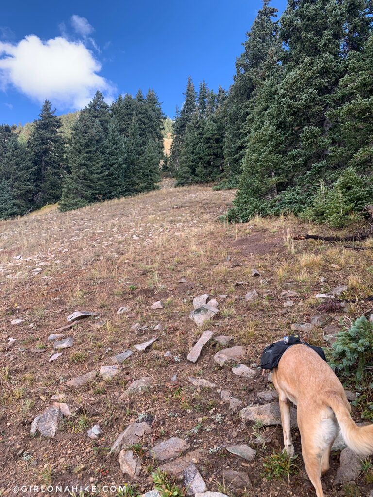 Hiking to South Mountain, LaSal Mountains