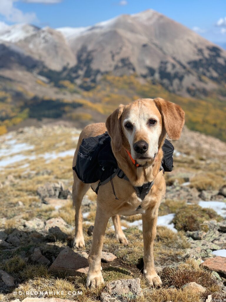 Hiking to South Mountain, LaSal Mountains