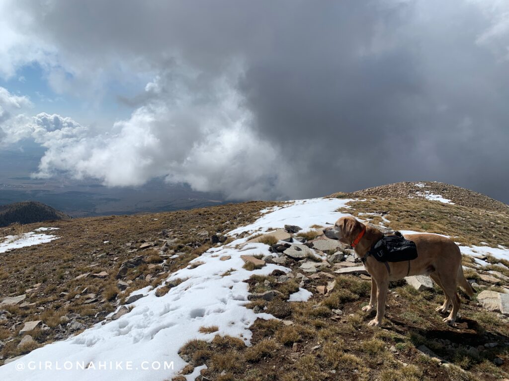 Hiking to South Mountain, LaSal Mountains