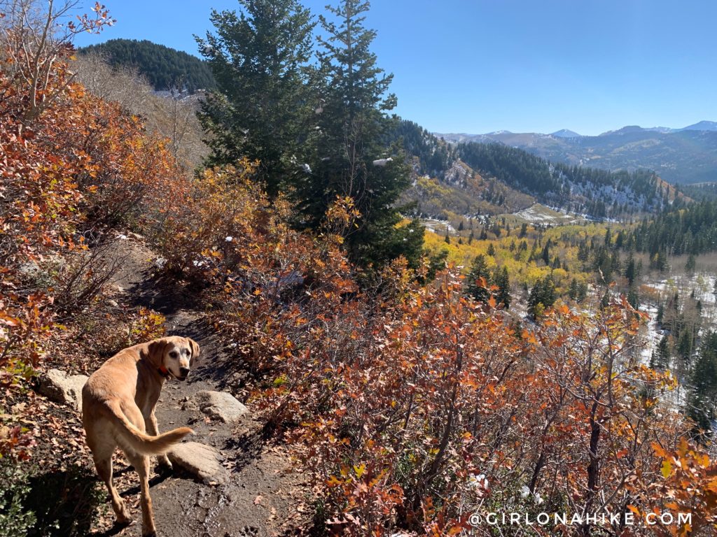 Hiking to Silver Lake & Silver Glance Lake