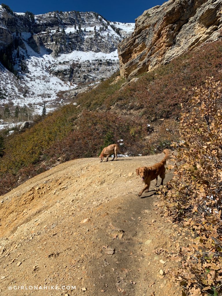 Hiking to Silver Lake & Silver Glance Lake