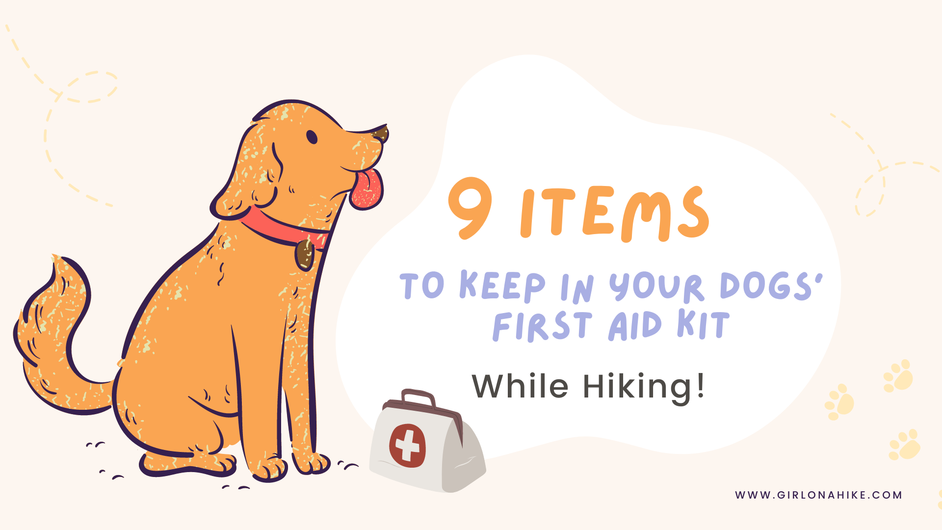 Pet first aid kit 2024 contents