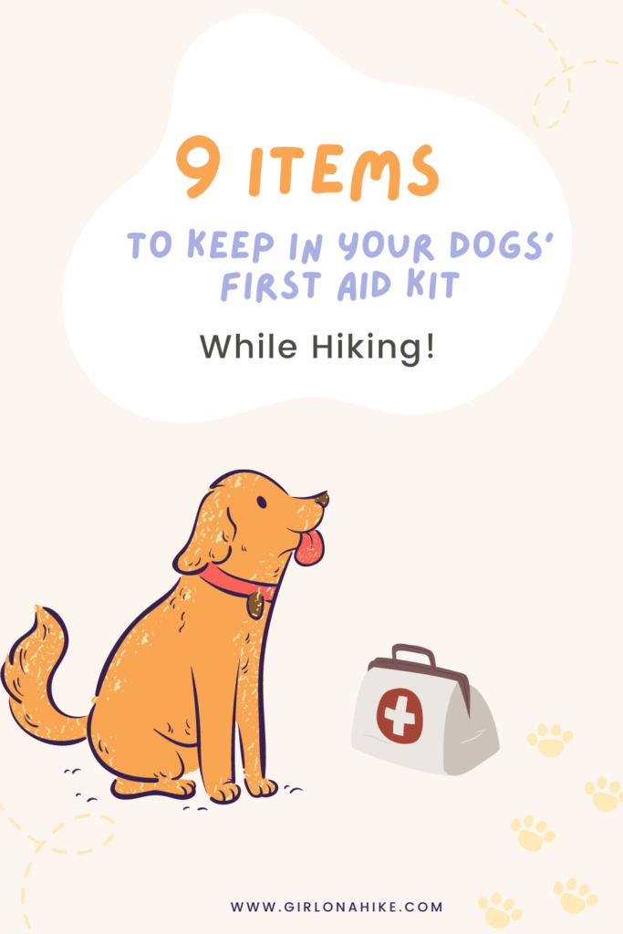 9 Items to Keep in Your Dog's First Aid Kit while Hiking