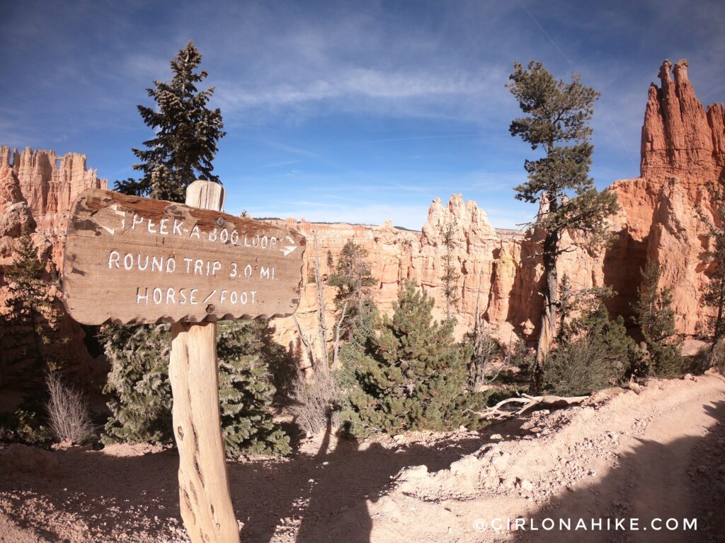 Hiking the Tropic Trail, Bryce Canyon National Park