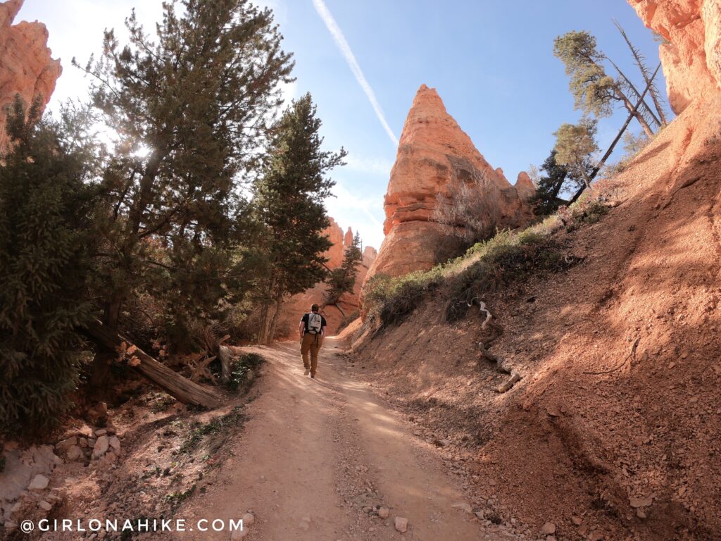 Hiking the Tropic Trail, Bryce Canyon National Park