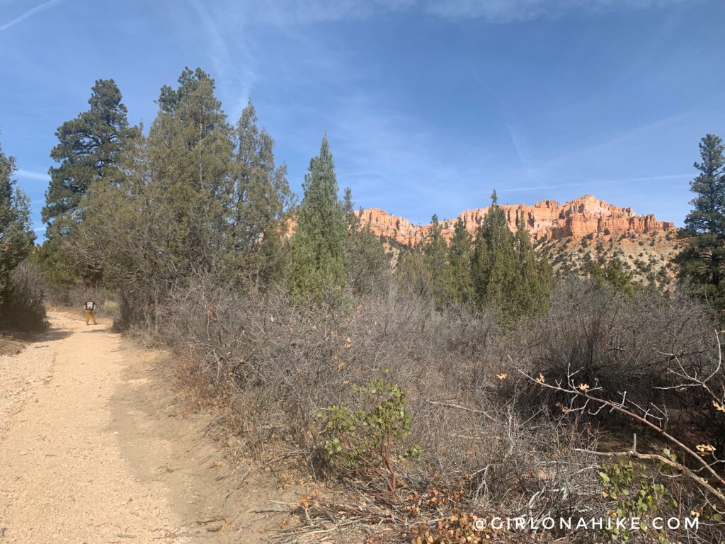 Hiking the Tropic Trail, Bryce Canyon National Park