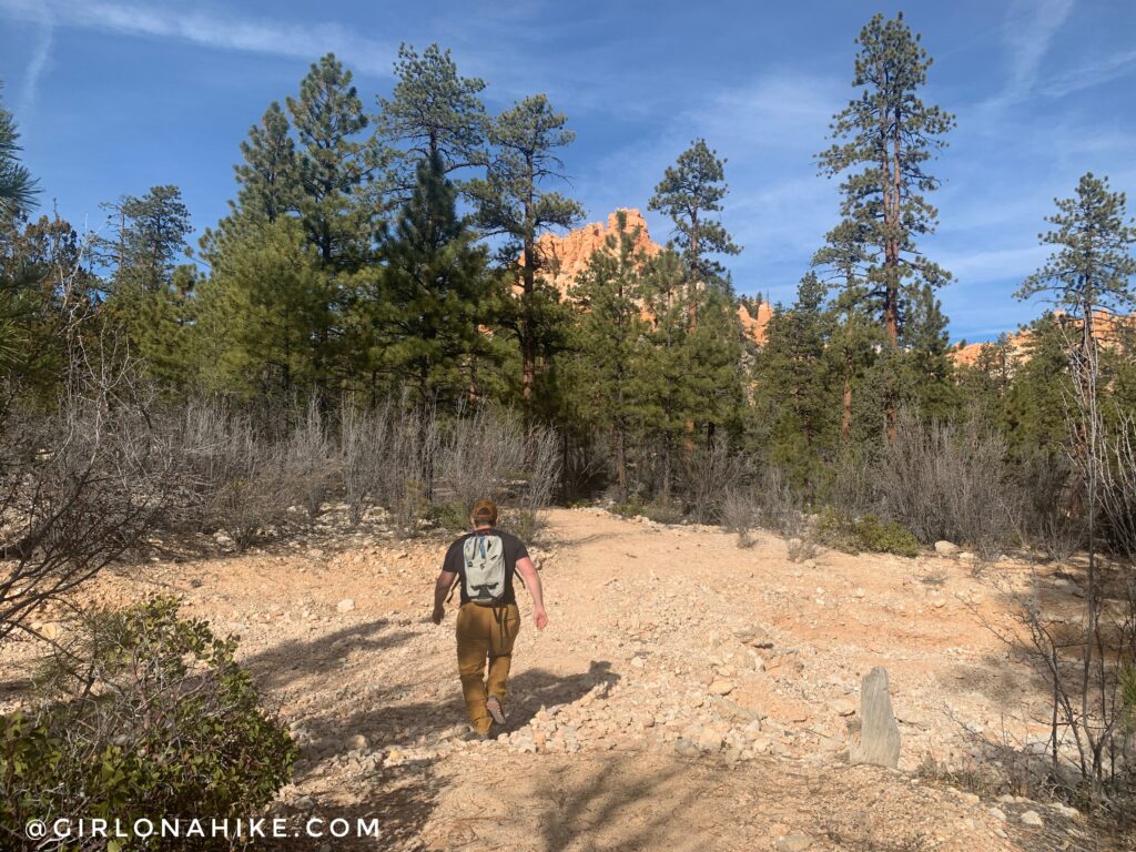 Hiking the Tropic Trail, Bryce Canyon National Park