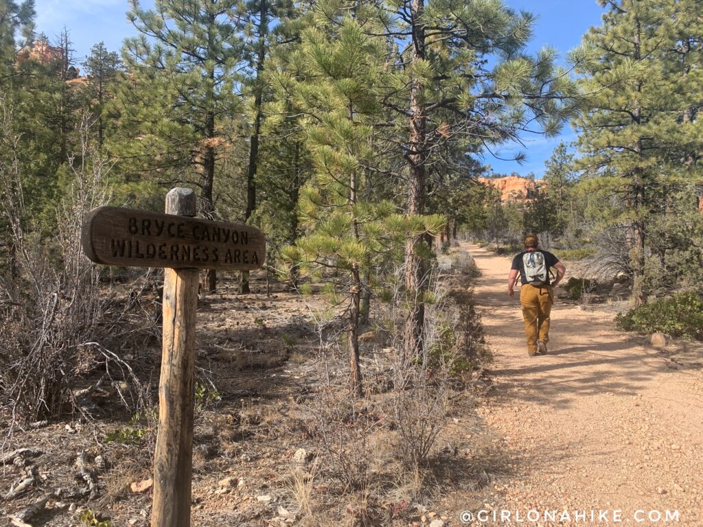 Hiking the Tropic Trail, Bryce Canyon National Park