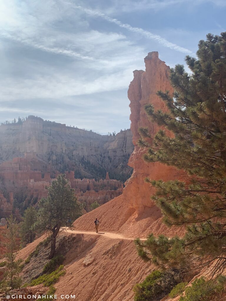 Hiking the Tropic Trail, Bryce Canyon National Park