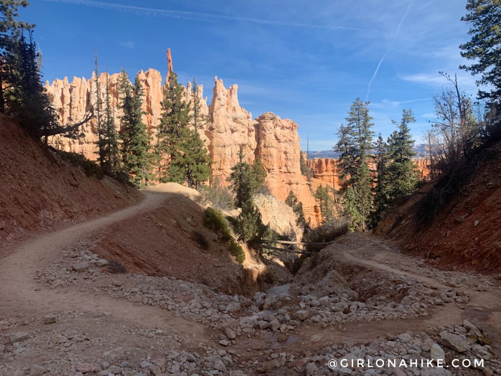 Hiking the Tropic Trail, Bryce Canyon National Park