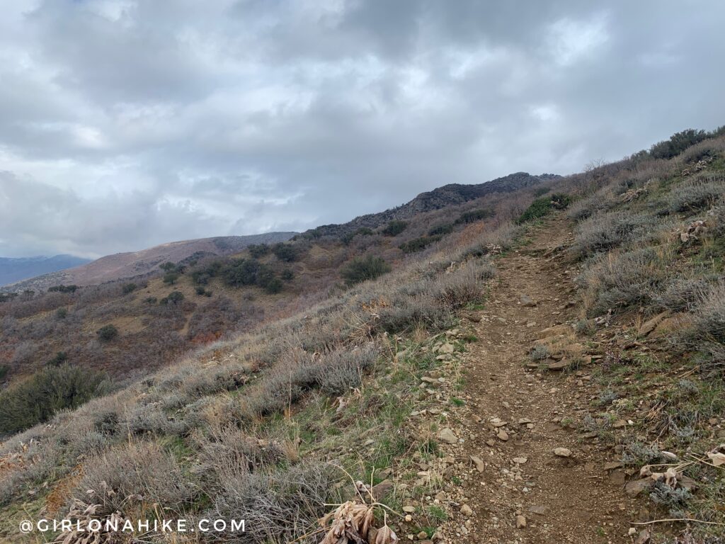 Hiking the Adam's Cabin Trail, Layton, Utah