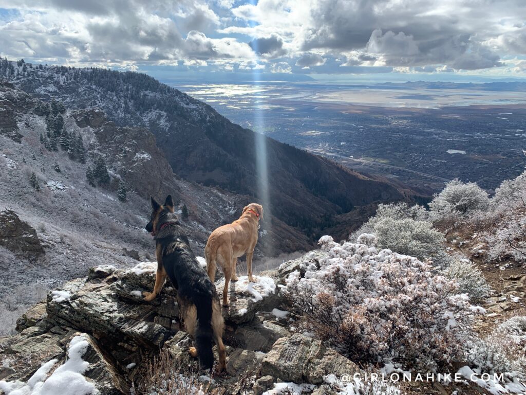 Hiking the Adam's Cabin Trail, Layton, Utah