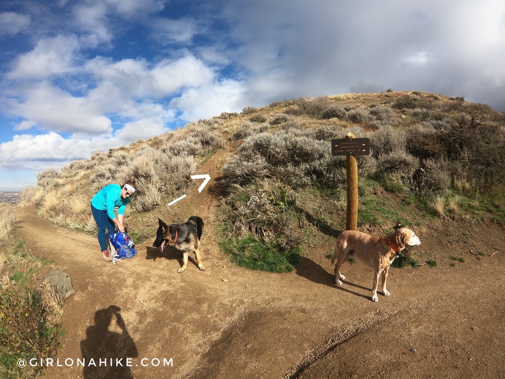 Hiking the Adam's Cabin Trail, Layton, Utah