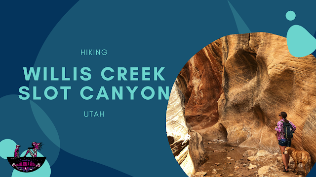 Hike Willis Creek Slot Canyon