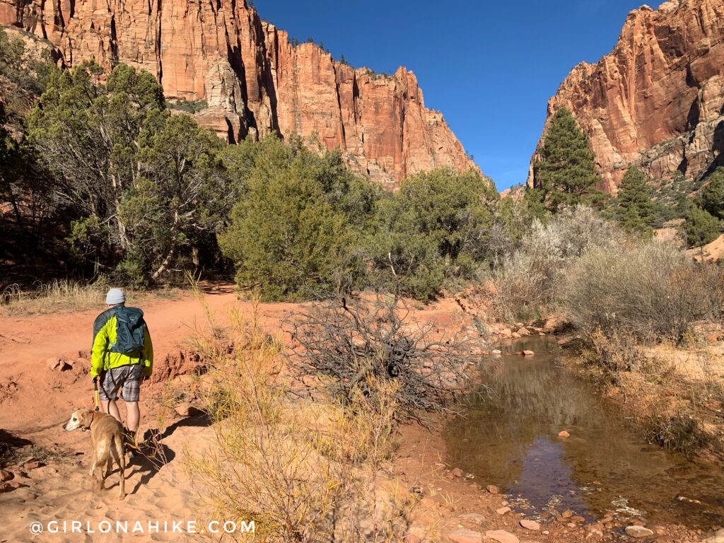 Hiking Water Canyon, Hilldale, Utah