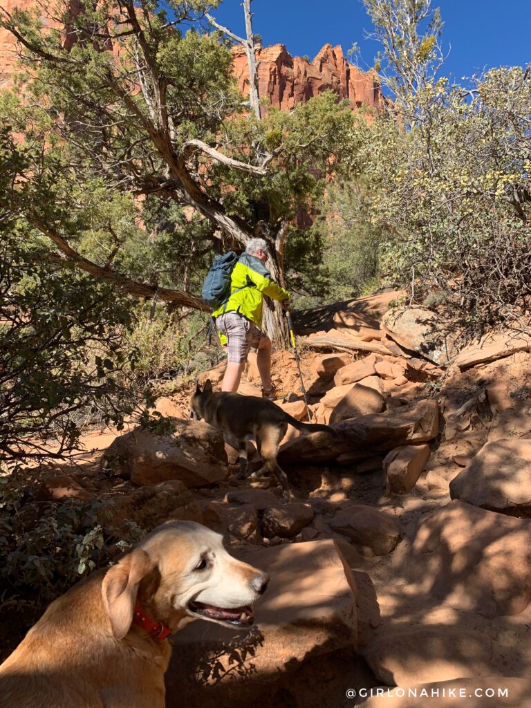 Hiking Water Canyon, Hilldale, Utah