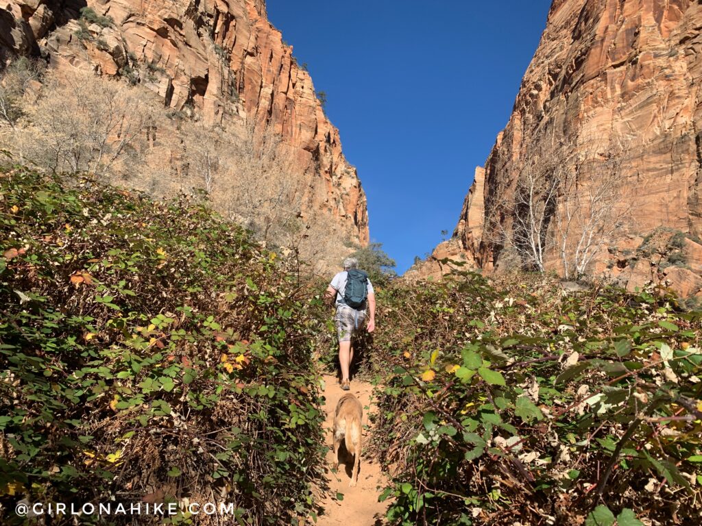 Hiking Water Canyon, Hilldale, Utah