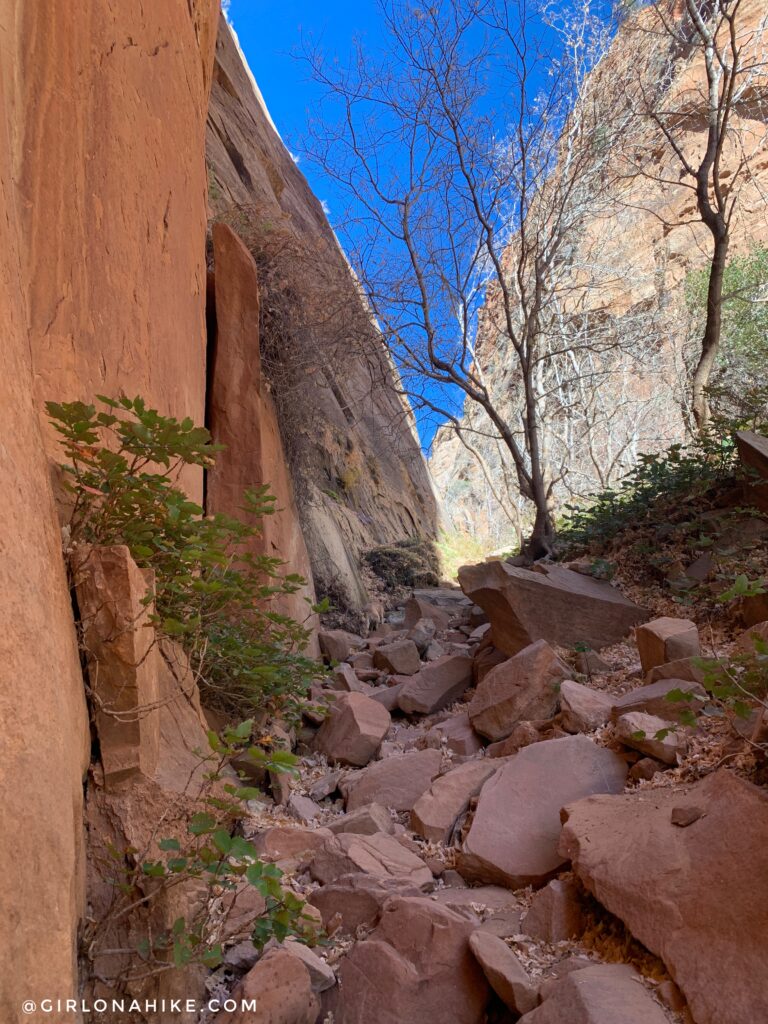 Hiking Water Canyon, Hilldale, Utah