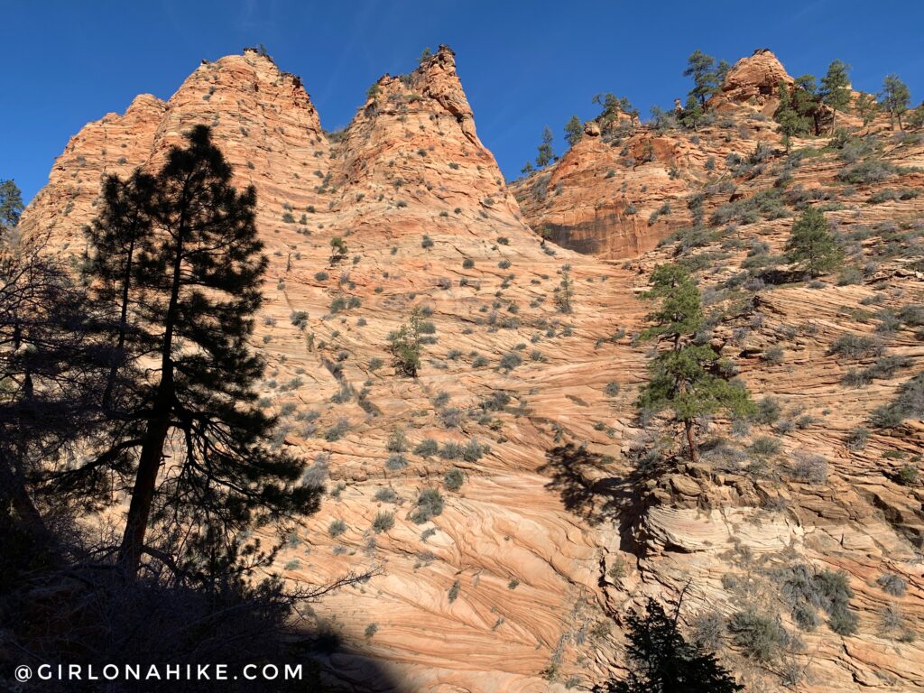 Hiking Water Canyon, Hilldale, Utah