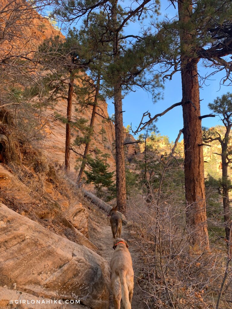 Hiking Water Canyon, Hilldale, Utah