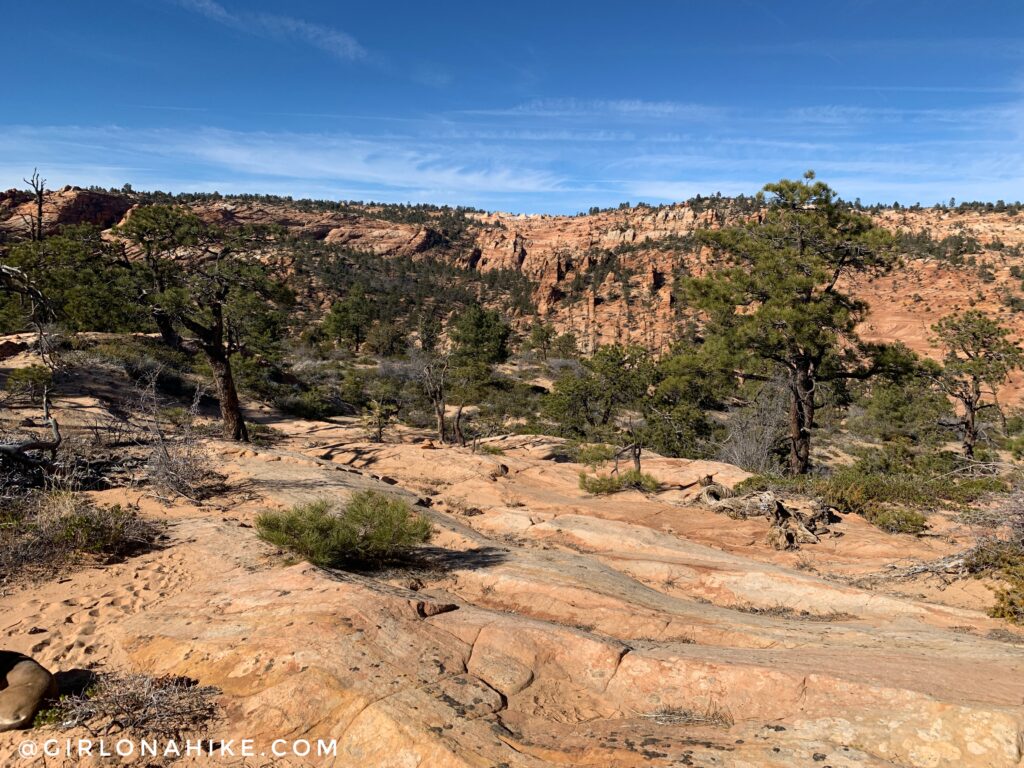 Hiking Water Canyon, Hilldale, Utah