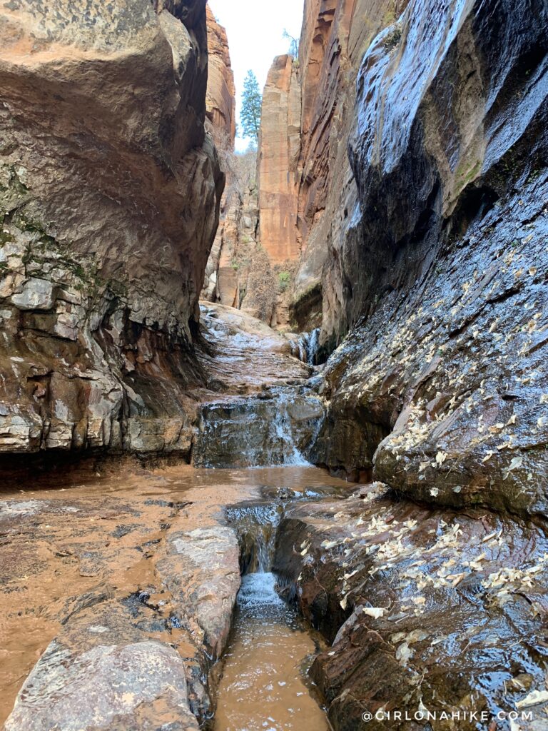 Water canyon shop hike zion