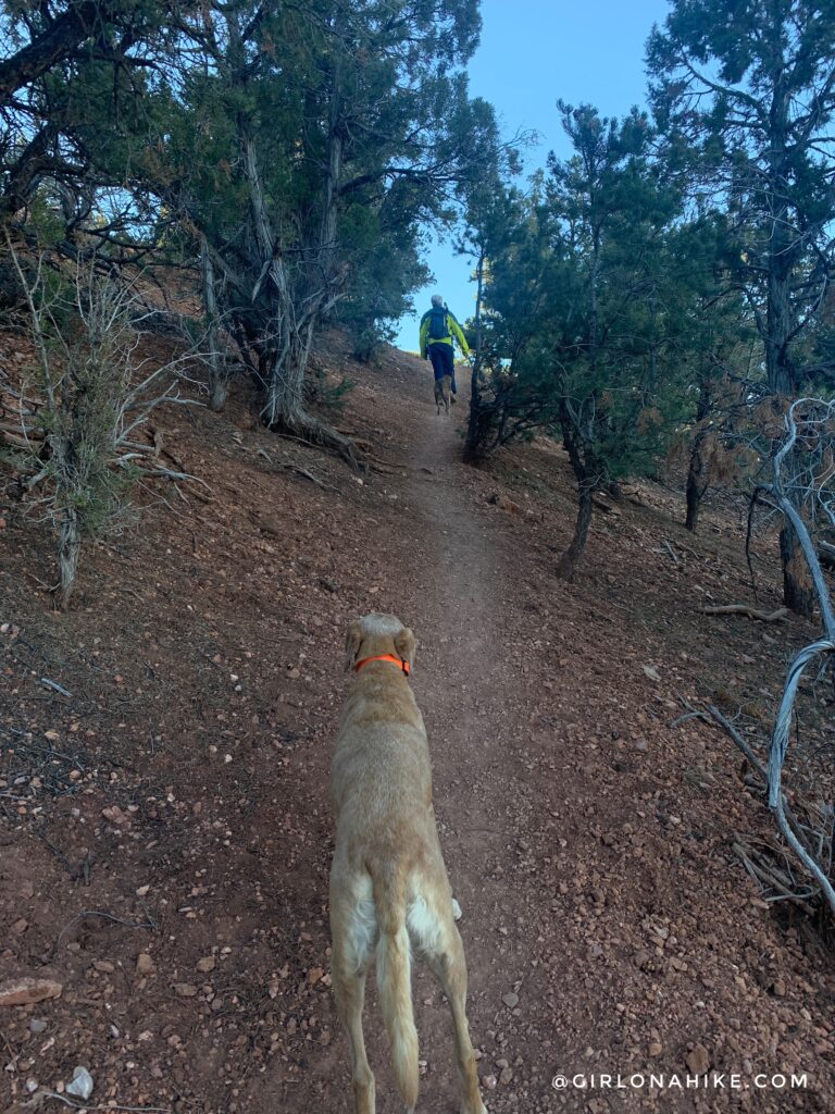 Hiking to Valentine Peak, Parowan, Utah