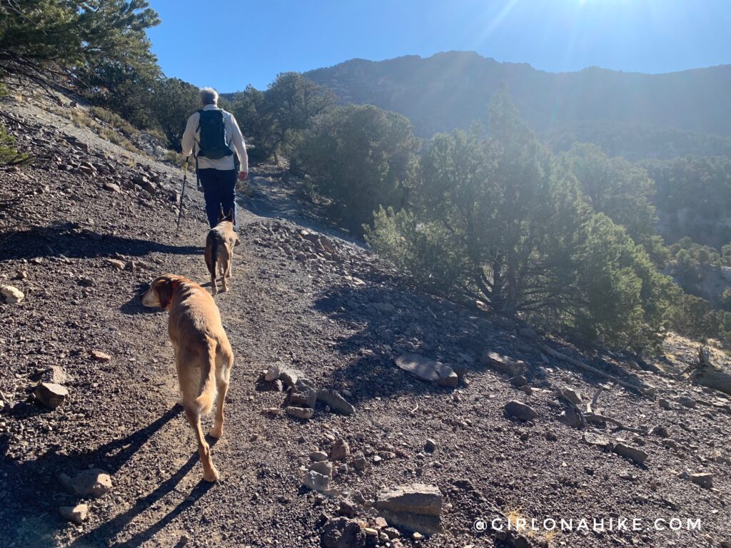 Hiking to Valentine Peak, Parowan, Utah