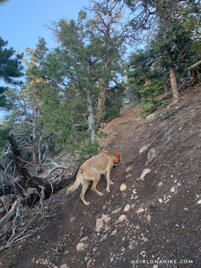 Hiking to Valentine Peak, Parowan, Utah