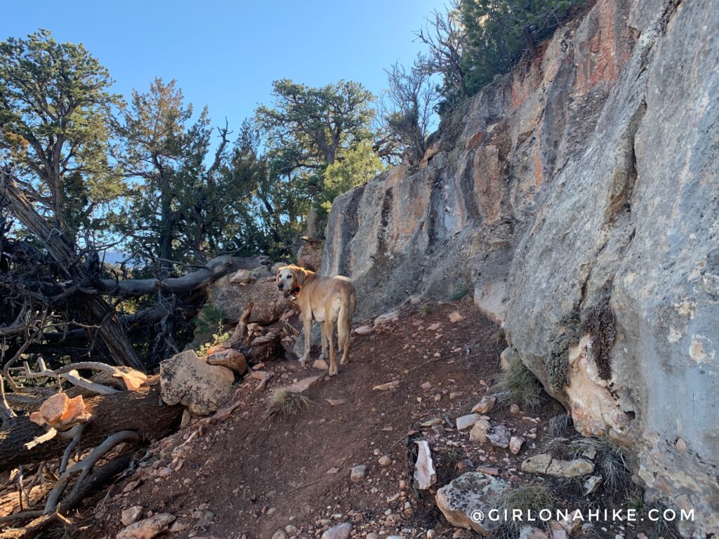 Hiking to Valentine Peak, Parowan, Utah