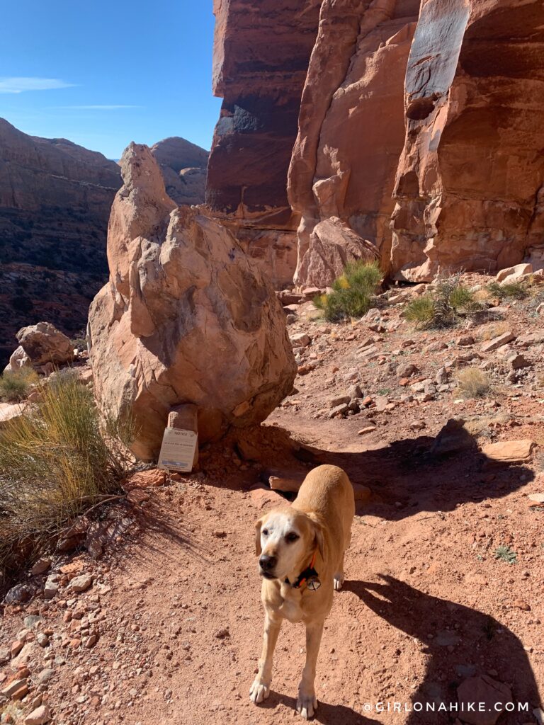 Hiking the Hidden Valley Trail, Moab