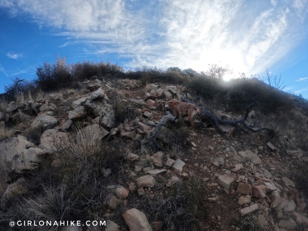 Hiking to Jarvis Peak, St.George