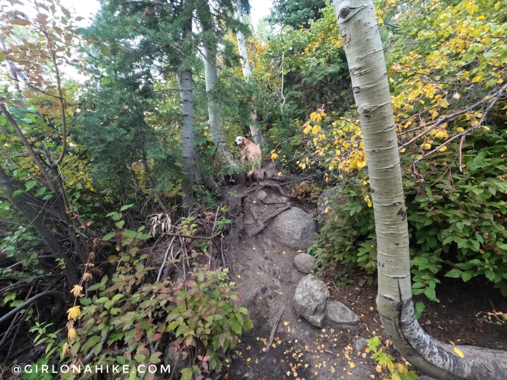 Hiking to Horsetail Falls, Utah