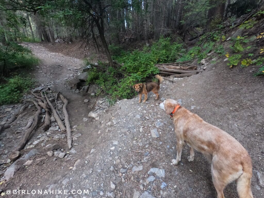 Hiking to Horsetail Falls, Utah