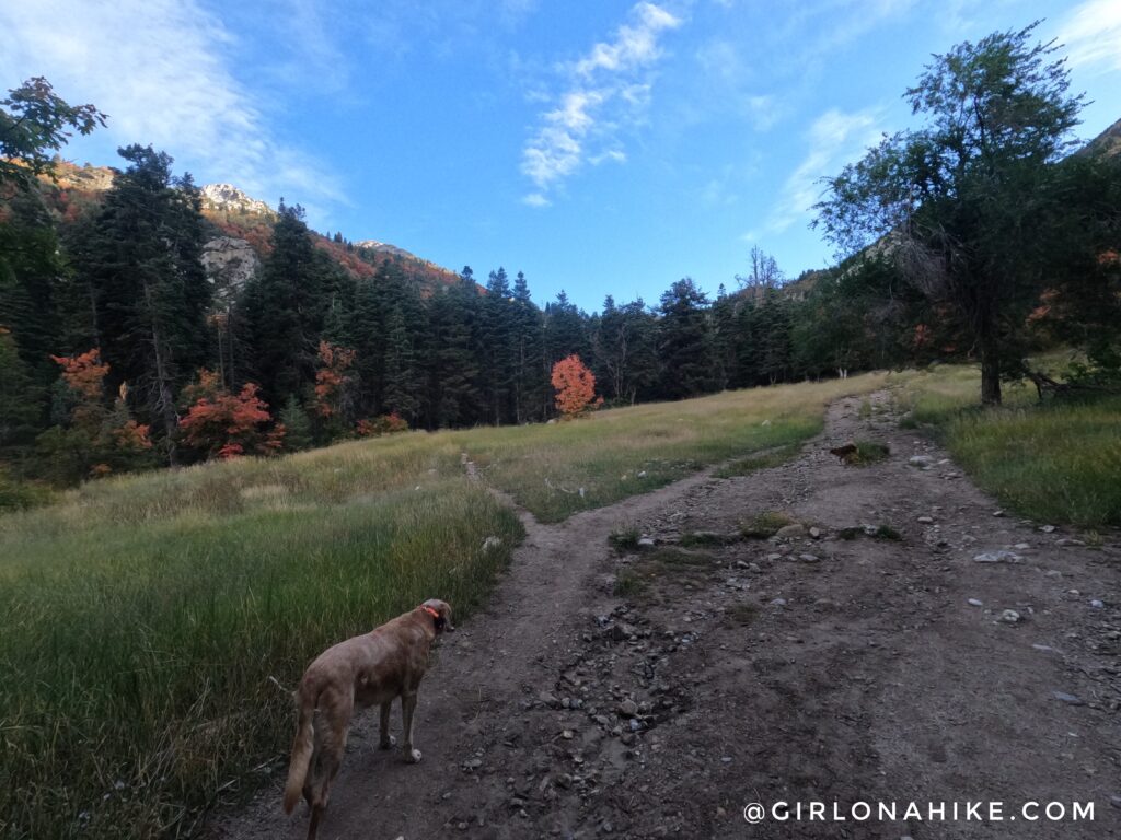 Hiking to Horsetail Falls, Utah