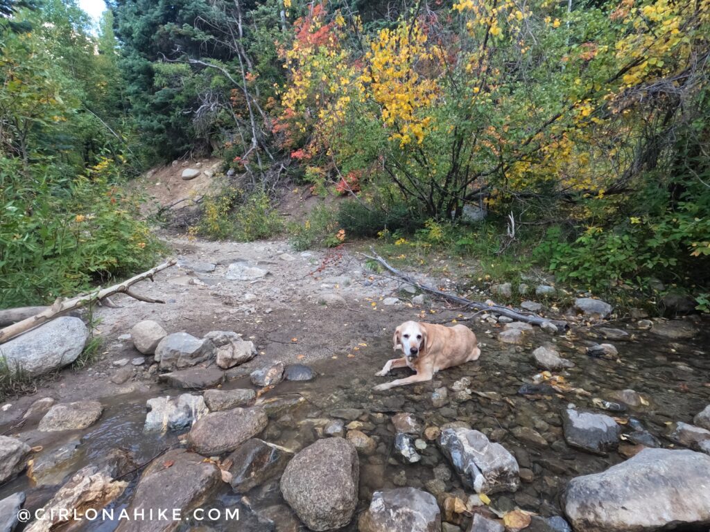 Hiking to Horsetail Falls, Utah