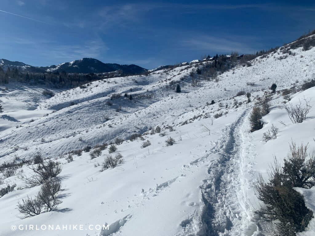 Hiking the Moose Hollow Trail