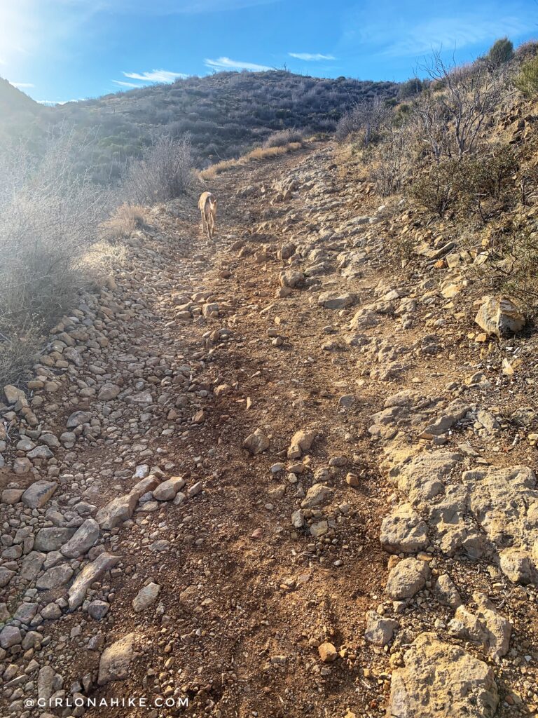 Hiking to Jarvis Peak, St.George