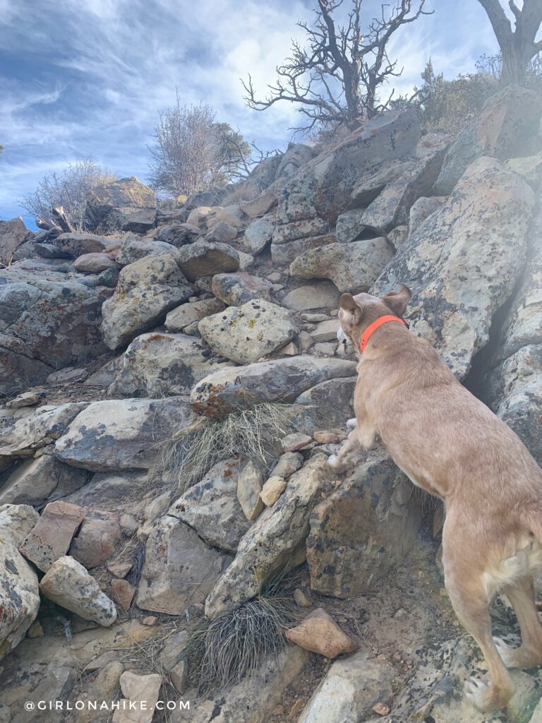 Hiking to Jarvis Peak, St.George