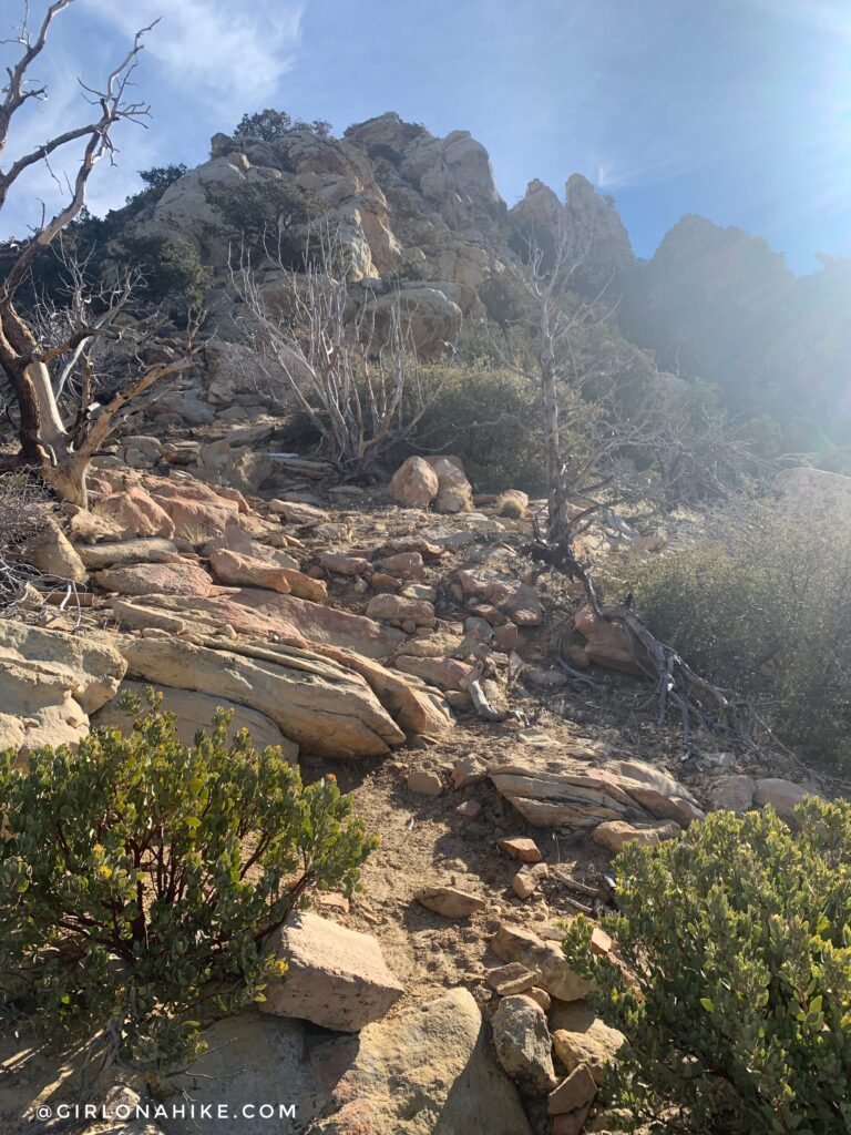 Hiking to Jarvis Peak, St.George